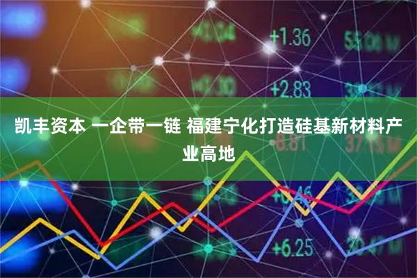 凯丰资本 一企带一链 福建宁化打造硅基新材料产业高地