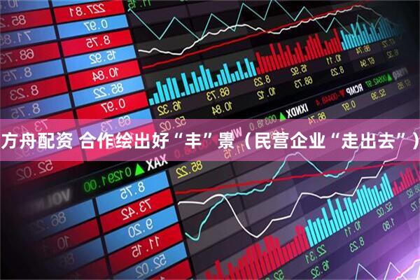 方舟配资 合作绘出好“丰”景（民营企业“走出去”）