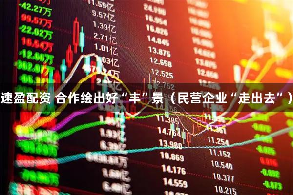 速盈配资 合作绘出好“丰”景（民营企业“走出去”）
