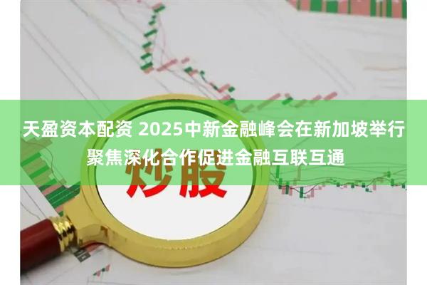 天盈资本配资 2025中新金融峰会在新加坡举行 聚焦深化合作促进金融互联互通