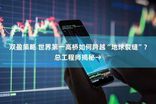双盈策略 世界第一高桥如何跨越“地球裂缝”？总工程师揭秘→
