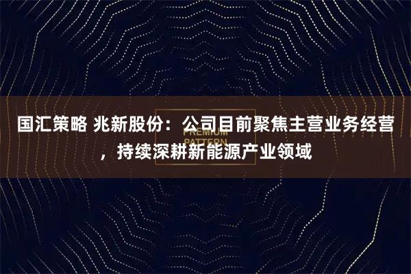 国汇策略 兆新股份：公司目前聚焦主营业务经营，持续深耕新能源产业领域